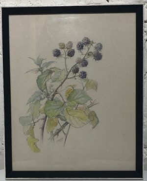 Original old painting pencil & water colour by H. Francis (1960)