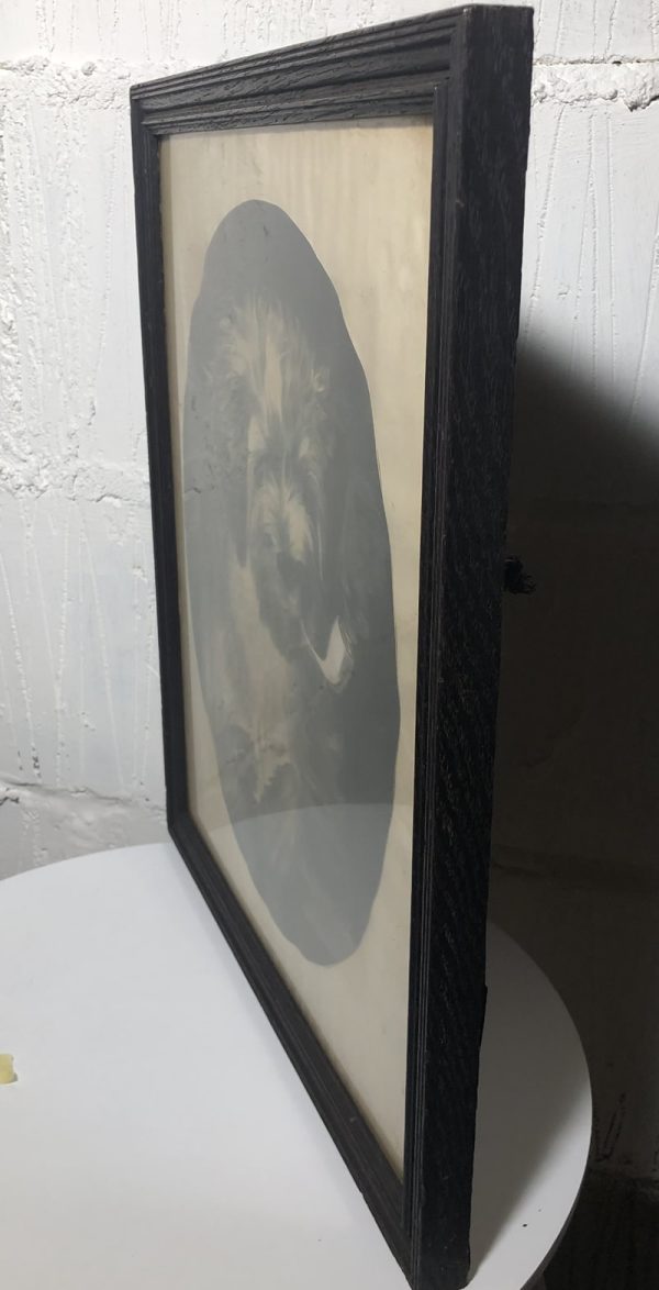 Old print "Dog with pipe" - Image 2