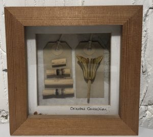 Mixed oriental dried plants