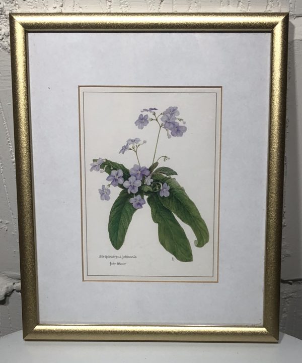 South African Botanical Art